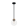 Nuvo Fixture, Pendant, 1-Lght, Incandescent, 60W, 120V, B10, Candelabra Bse, Length: 7.75 60/7121